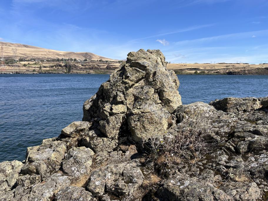Leschi National Rivershore (Faltree) - MicroWiki