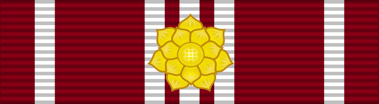 File:VHM Distinguished and Long Service Medal - one rosette ribbon BAR ...