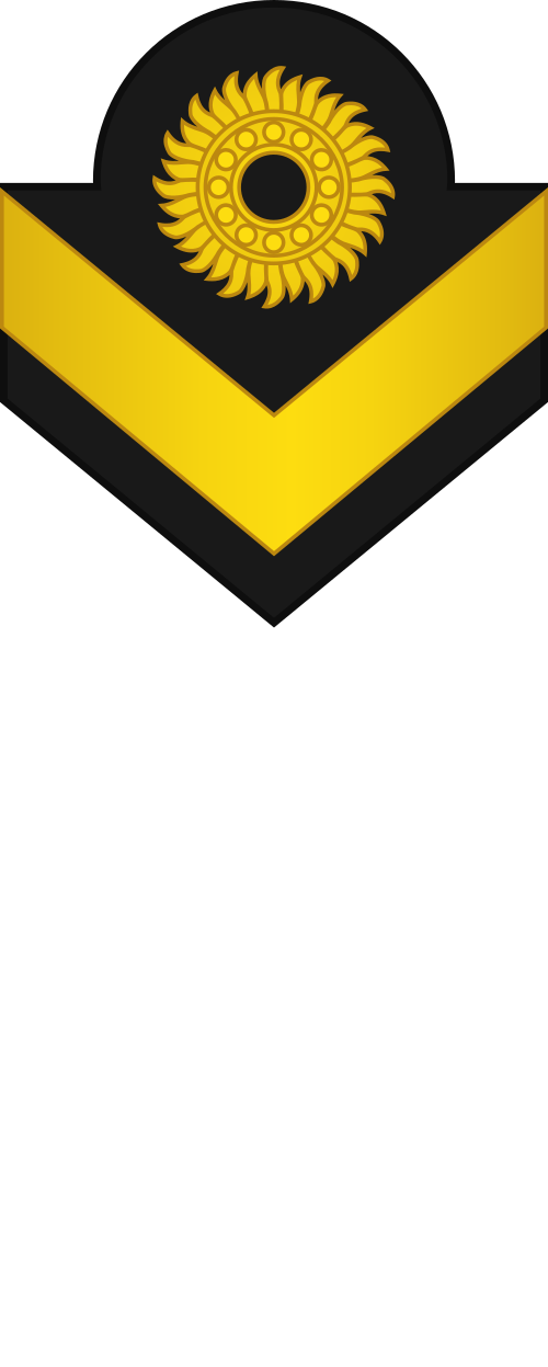 File:RPA-Army-Private-OR-2.svg - MicroWiki