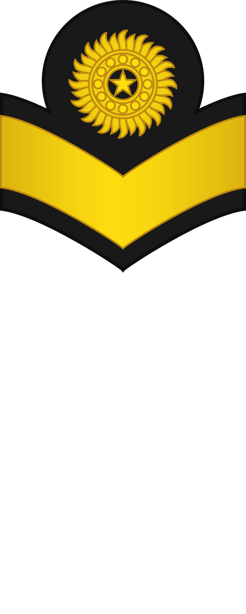 File:RPAF-Air-Force-Airman-OR-2.svg - MicroWiki
