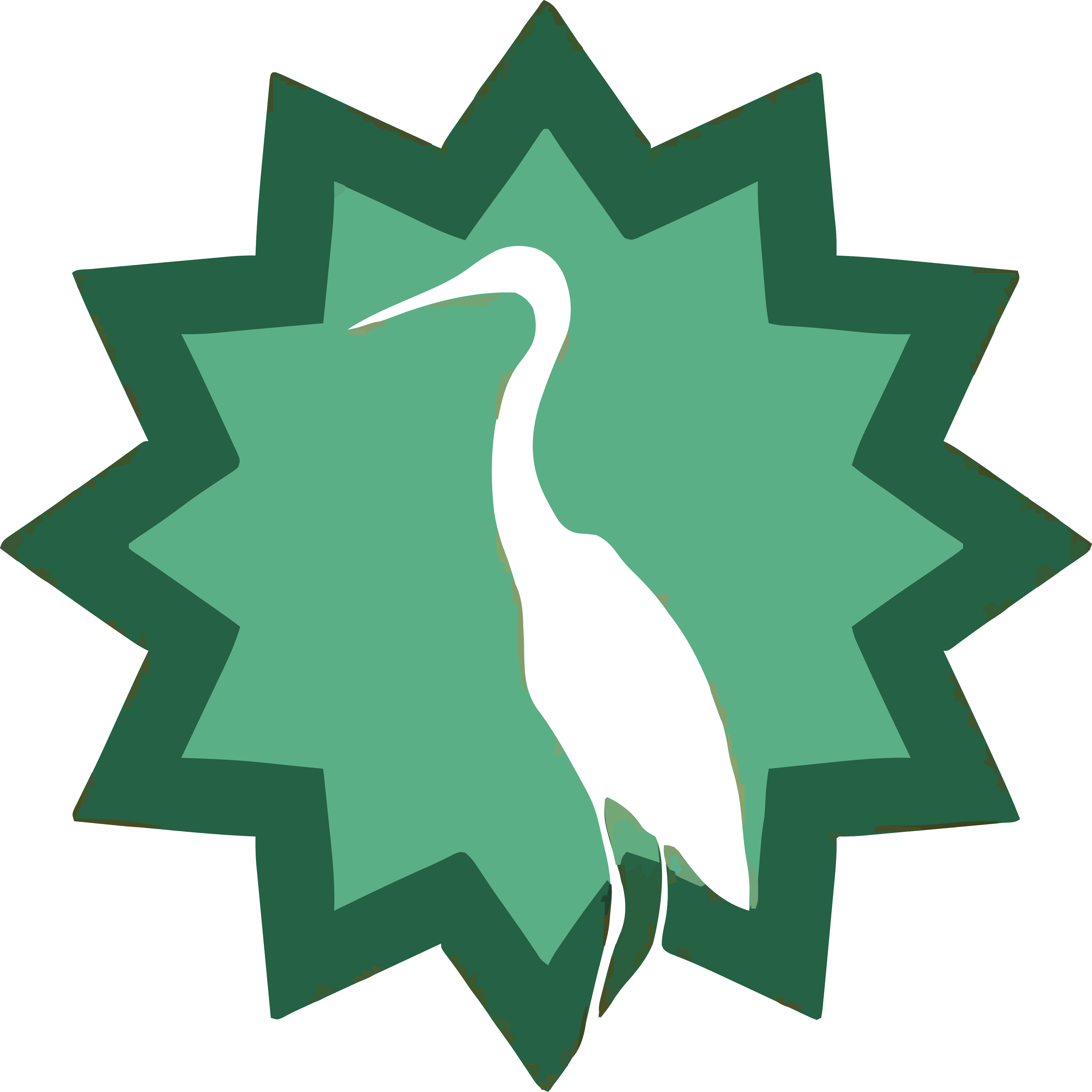 File:Green Party Logo (Auxarcs).svg - MicroWiki
