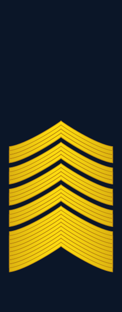 File:RPAF-Air-Force-Chief-Master-Sergeant-(Sleeves)-OR-9.svg - MicroWiki