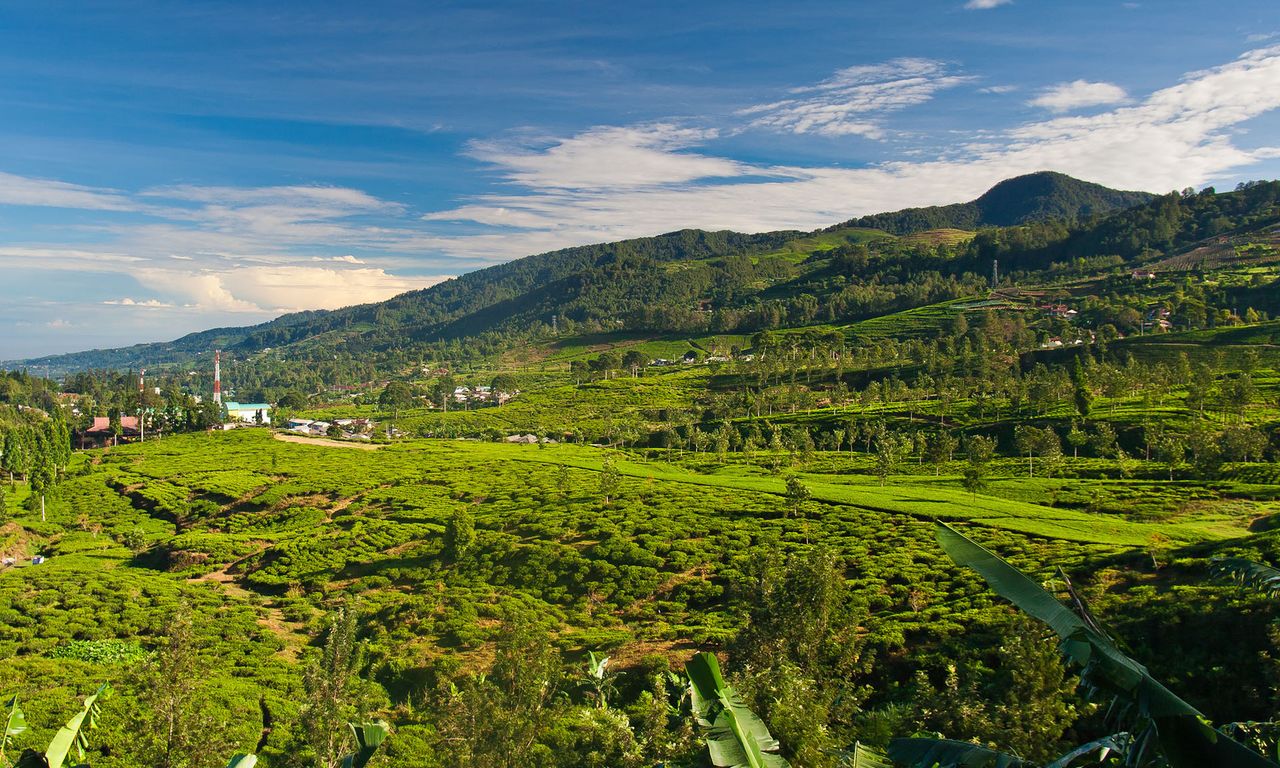 Puncak Raya - MicroWiki