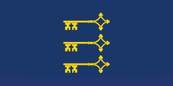 Flag of Free City of Leamouth