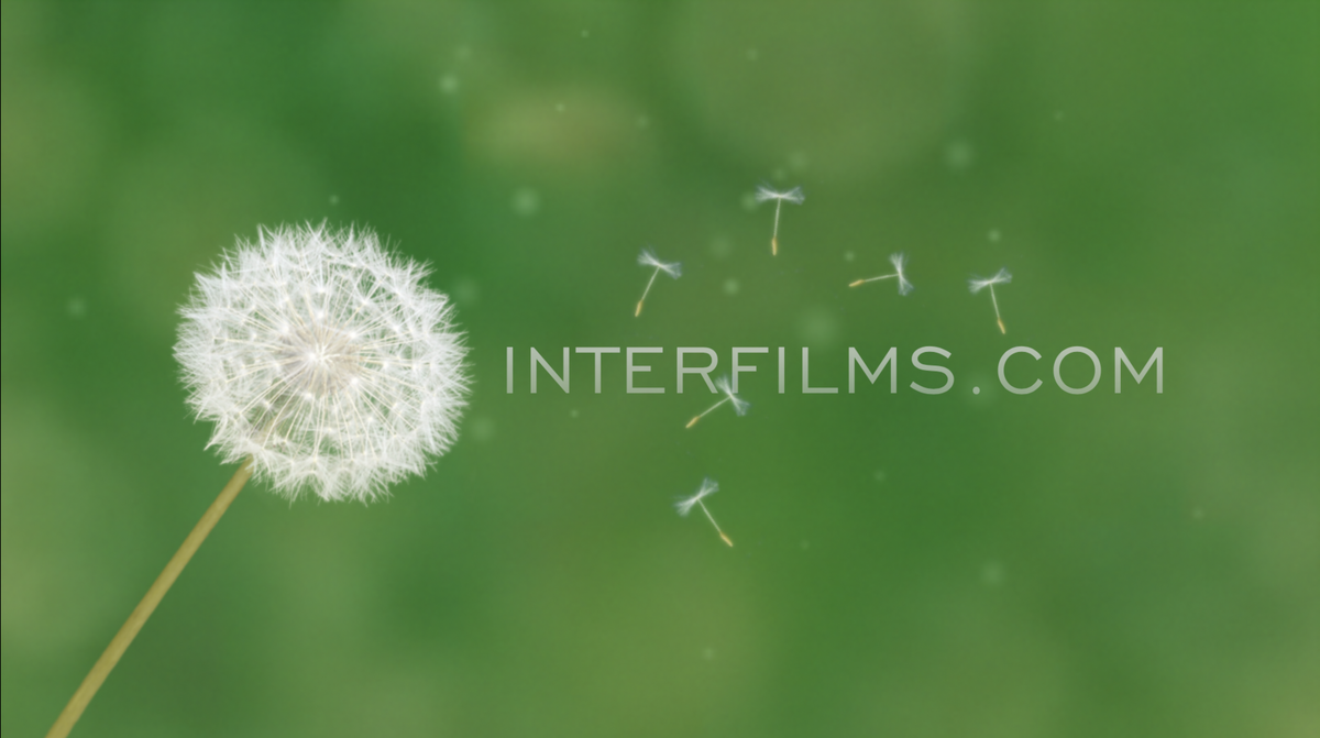 InterFilms.com - MicroWiki