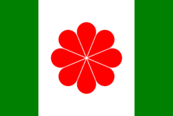 Flag of Republic of Canton / 大粵民國 / Dàyuè Mínguó / Daai4-yuet4 Man2-gwok2