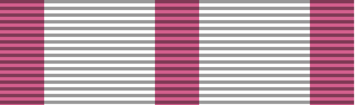 File:Ribbon bar of the Medal of Military Merit of Rmhoania.svg - MicroWiki