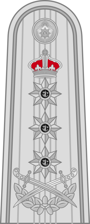 File:RPPF-Full-Dress-Police-Lieutenant-General-OF-8.svg - MicroWiki