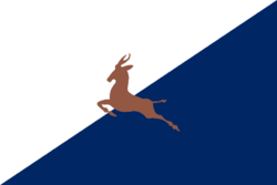 Flag of Commonwealth of Summit