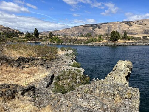 Leschi National Rivershore (Faltree) - MicroWiki