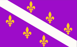 Flag of The Autocratic State of Herzegovina