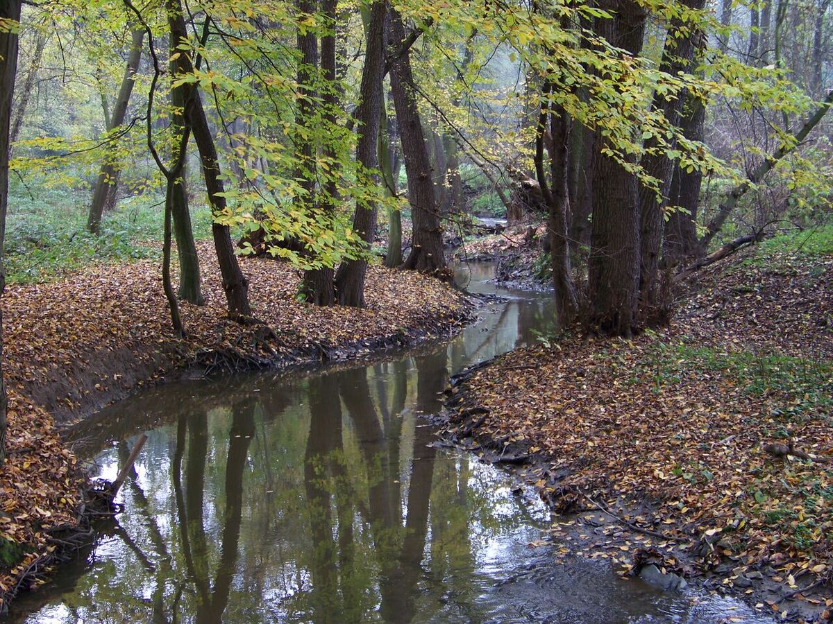 River Brothenx - MicroWiki