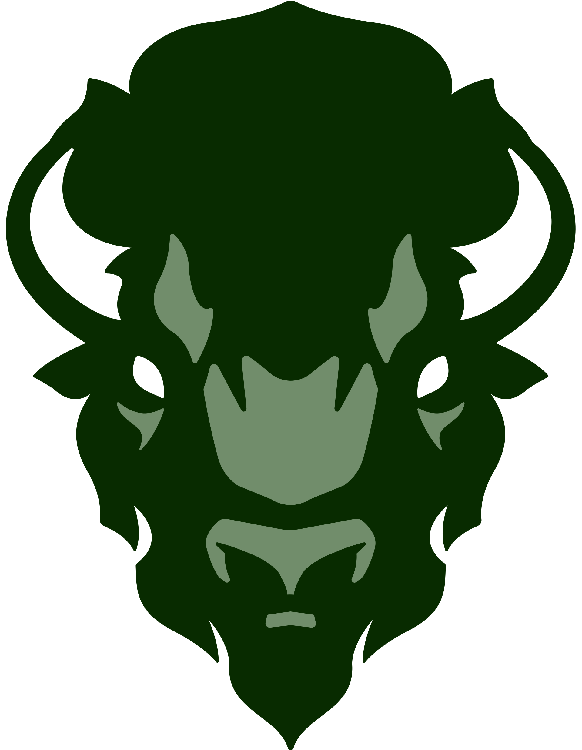 File:Ridder Bison logo.svg - MicroWiki