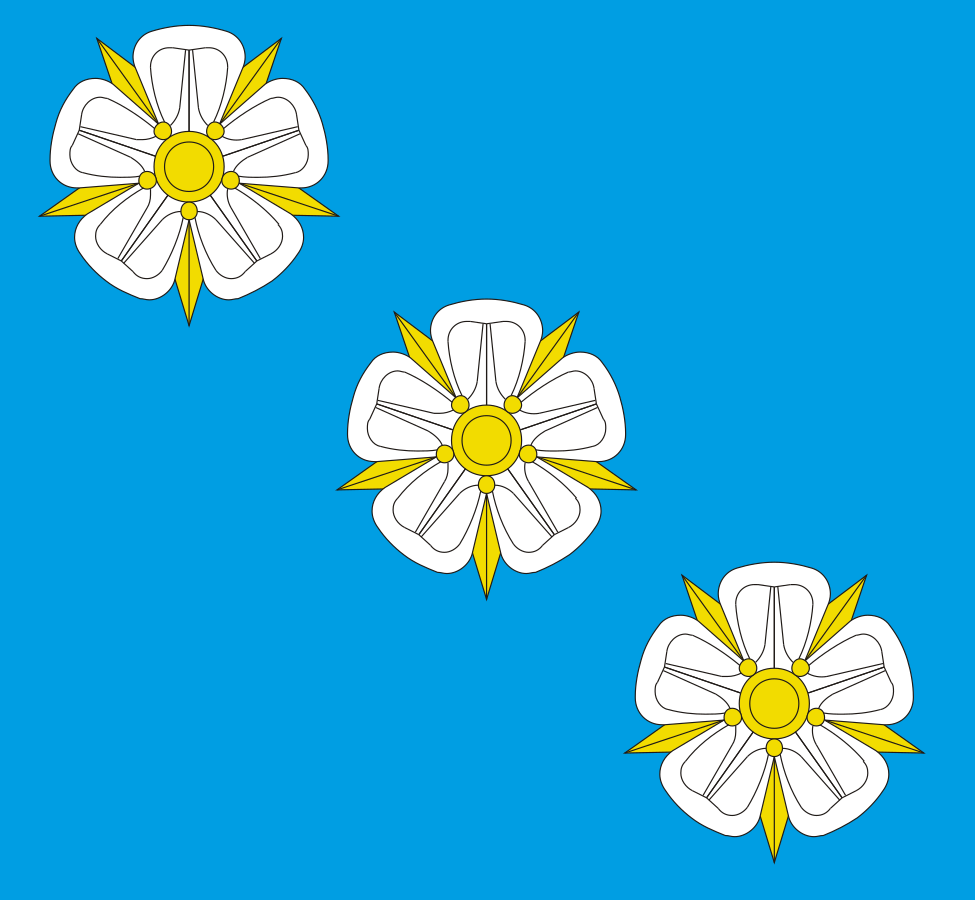 File:TBT - Linstead County - Flag.svg - MicroWiki