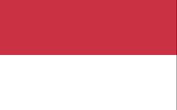 Flag of Virtual Republic of DnaloPRepublika Virtua ed DnaloP (Dnalish)
