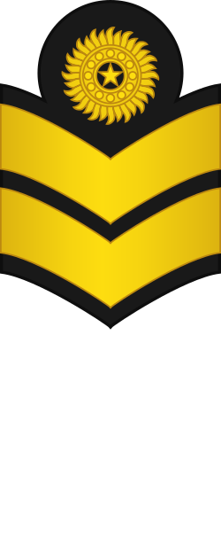 File:RPAF-Air-Force-Senior-Airman-OR-3.svg - MicroWiki