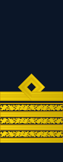 File:RPAF-Air-Force-Air-Vice-Marshal-(Sleeves)-OF-7.svg - MicroWiki