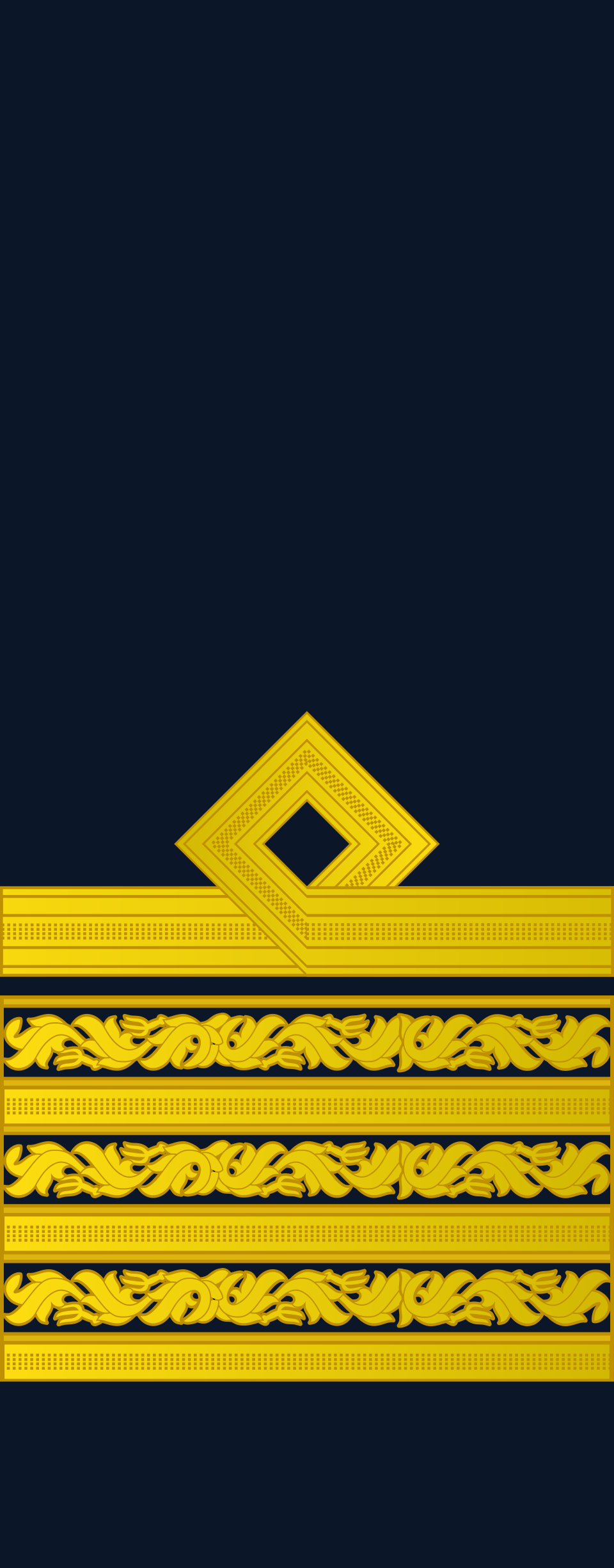 File:RPAF-Air-Force-Air-Vice-Marshal-(Sleeves)-OF-7.svg - MicroWiki