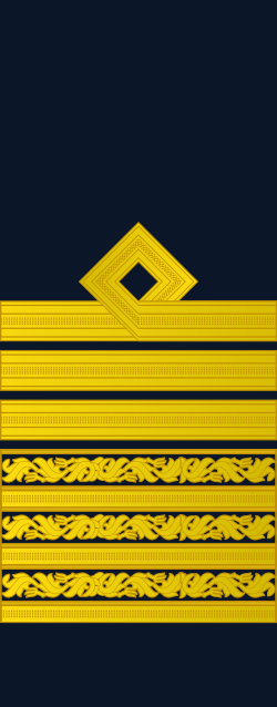 File:RPAF-Air-Force-Air-Chief-Marshal-(Sleeves)-OF-9.svg - MicroWiki