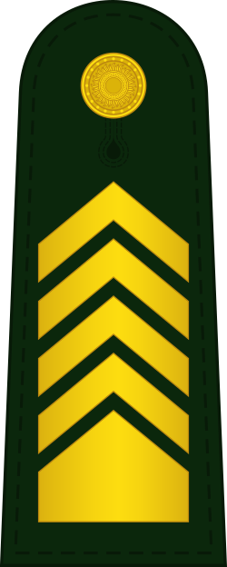 File:RPA-Army-Sergeant-Major-First-Class-OR-9.svg - MicroWiki
