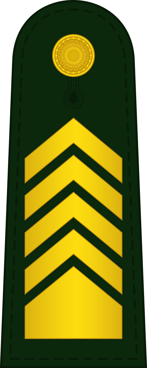 File:RPA-Army-Sergeant-Major-First-Class-OR-9.svg - MicroWiki