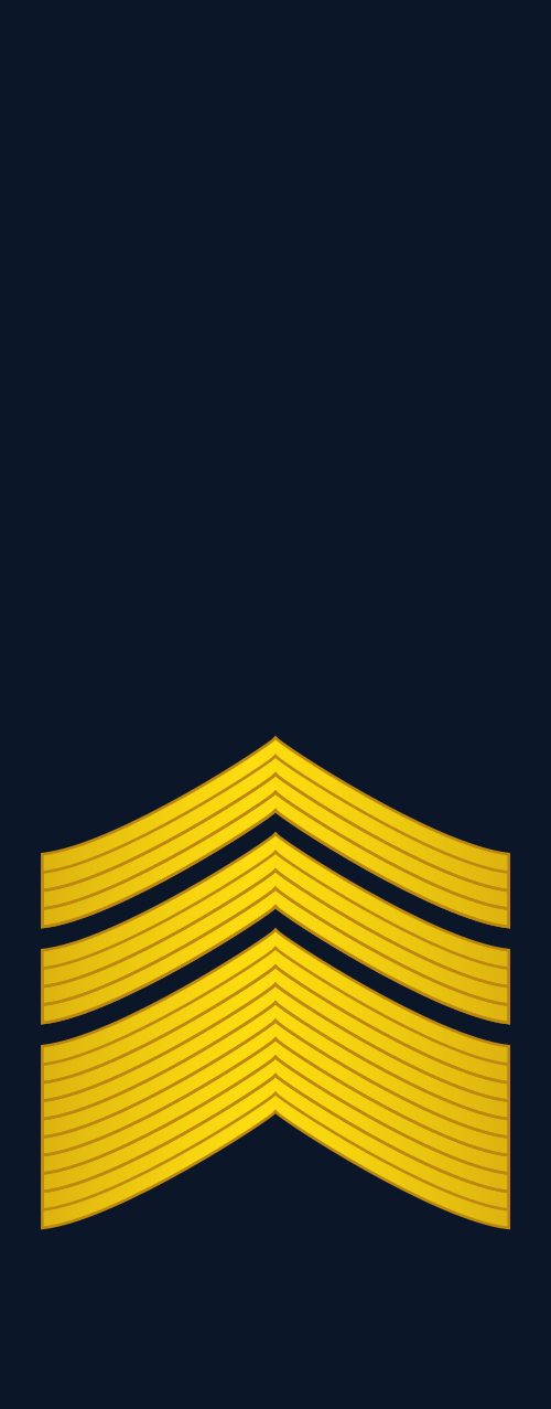 File:RPAF-Air-Force-Master-Sergeant-(Sleeves)-OR-7.svg - MicroWiki