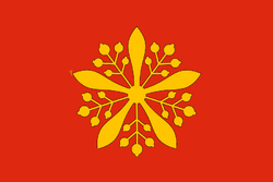 Flag of Empire of Xiaoxu / 小徐帝国 / Xiǎo xú Dìguó