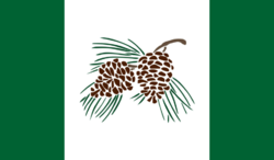 Flag of New Pineland / Pinelandia